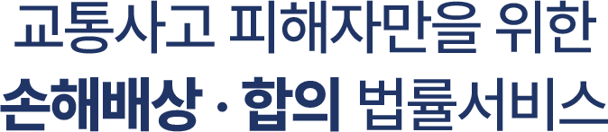 교통사고피해자 메인 텍스트
